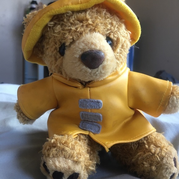 teddy bear in raincoat